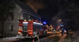 Fotka nr 3 z 13
