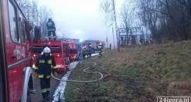 Fotka nr 3 z 10