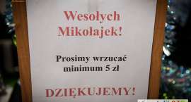 Fotka nr 3 z 6