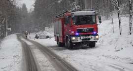 Fotka nr 2 z 12
