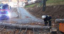 zdjęcie nr 9