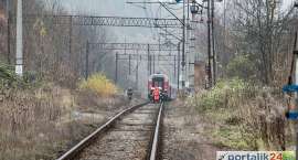 Fotka nr 2 z 11