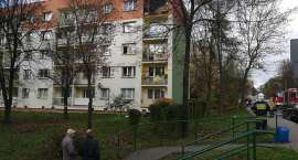 zdjęcie nr 8