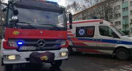 Fotka nr 5 z 11