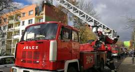 Fotka nr 3 z 11