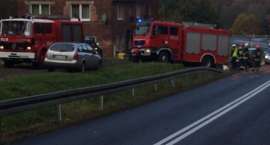 Fotka nr 2 z 4