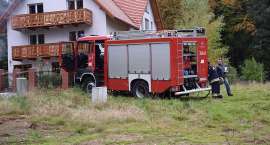 Fotka nr 2 z 29