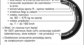 Fotka nr 1 z 2