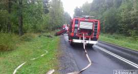 zdjęcie nr 7
