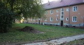 zdjęcie nr 14