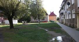 zdjęcie nr 7