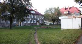 zdjęcie nr 11