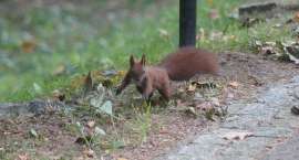 Fotka nr 5 z 10