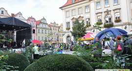 zdjęcie nr 23