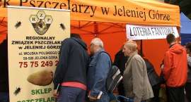 zdjęcie nr 30