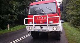 Fotka nr 4 z 10