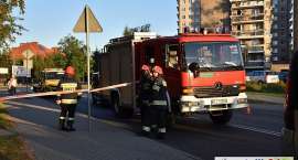 Fotka nr 3 z 14