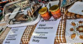 zdjęcie nr 33