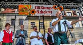 zdjęcie nr 14