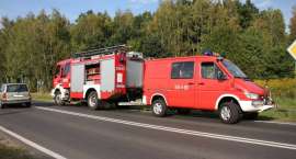 Fotka nr 2 z 16