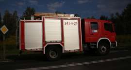 Fotka nr 1 z 16