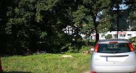 zdjęcie nr 8