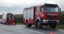 Fotka nr 2 z 13
