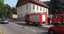 Fotka nr 0 z 8