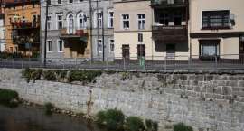 zdjęcie nr 10