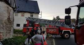 zdjęcie nr 7