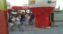 zdjęcie nr 7
