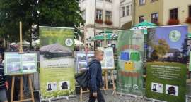 Fotka nr 5 z 13