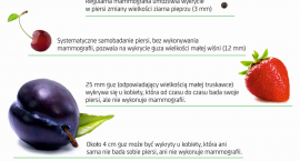 Fotka nr 1 z 2