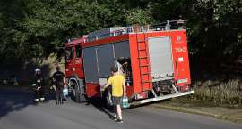 zdjęcie nr 7
