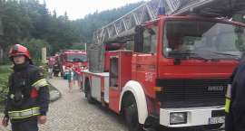 Fotka nr 2 z 3