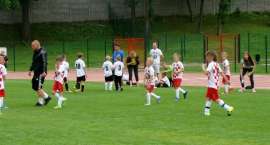 zdjęcie nr 7