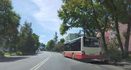 Fotka nr 3 z 4