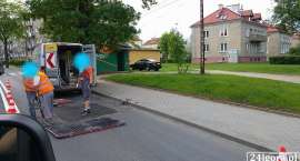 Fotka nr 3 z 8