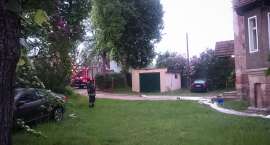 zdjęcie nr 9