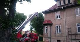 zdjęcie nr 17
