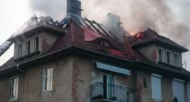 zdjęcie nr 22