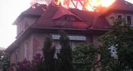 zdjęcie nr 14
