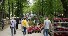 zdjęcie nr 32
