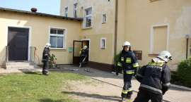 Fotka nr 4 z 44