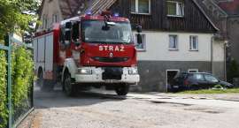 Fotka nr 1 z 44
