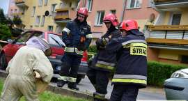 Fotka nr 2 z 10