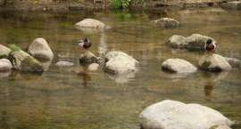 zdjęcie nr 20