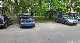 Fotka nr 5 z 6