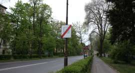 Fotka nr 4 z 6