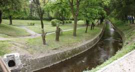 zdjęcie nr 21